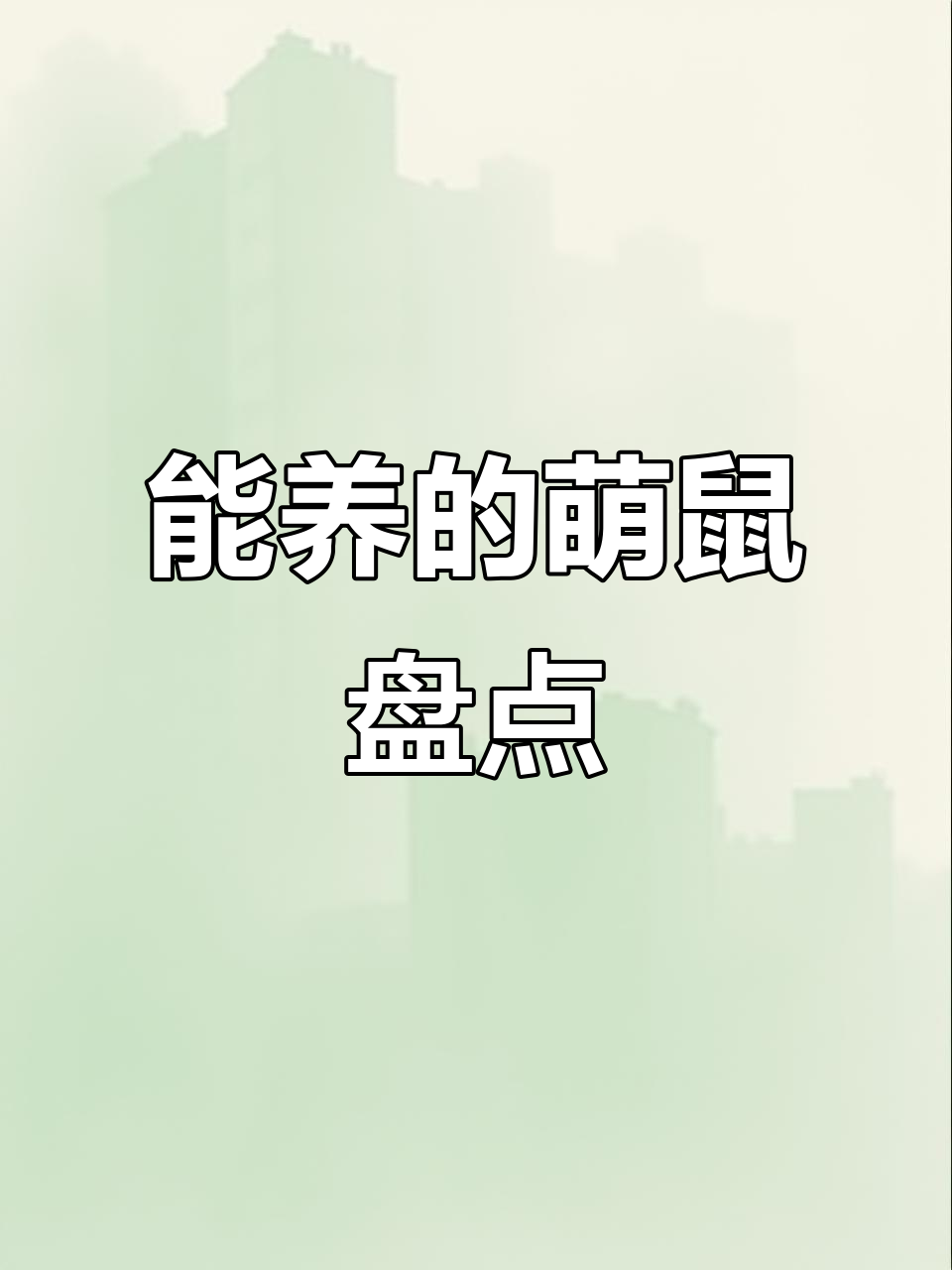 6种网红萌鼠,哪些能当宠物养?