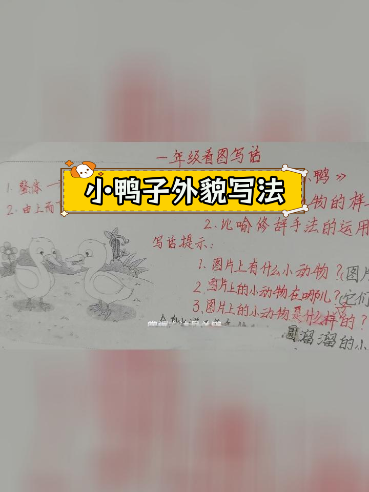 一年级看图写话:如何描写小鸭子的外形特征
