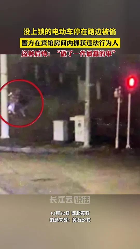目前,违法行为人杨某因盗窃已被金山派出所依法行政拘留