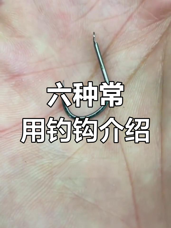 钓鱼必备鱼钩种类解析