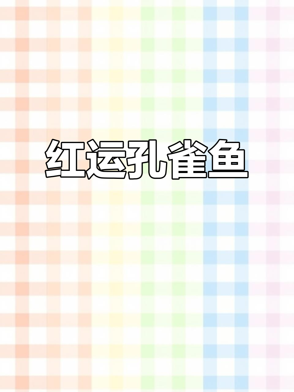 鸿运当头孔雀鱼,红火美丽又多产小鱼