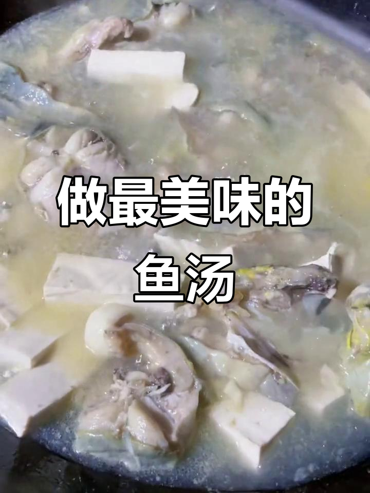 鱼汤的秘密,选对这种鱼才能做出最鲜美的味道
