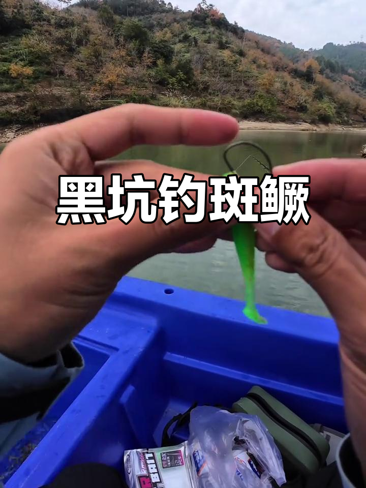 千岛湖黑坑,密集斑鳜等你挑战!