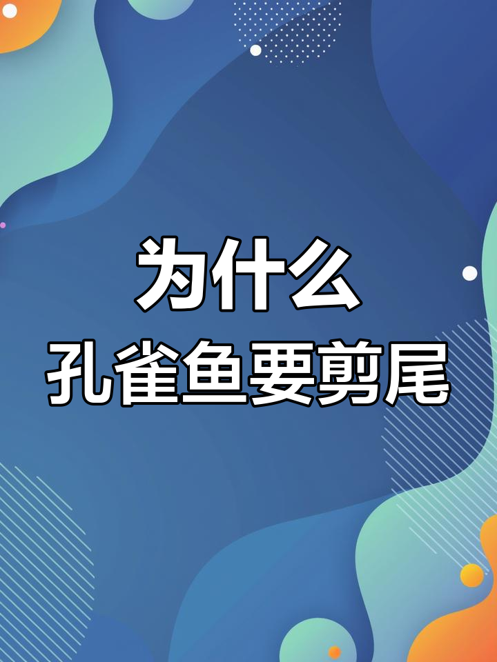 孔雀鱼尾巴过大怎么办?剪尾技巧大公开