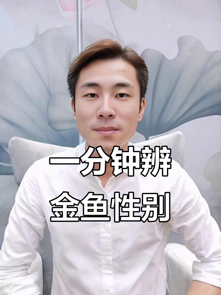 金鱼公母分辨技巧，秒变鉴鱼大师！