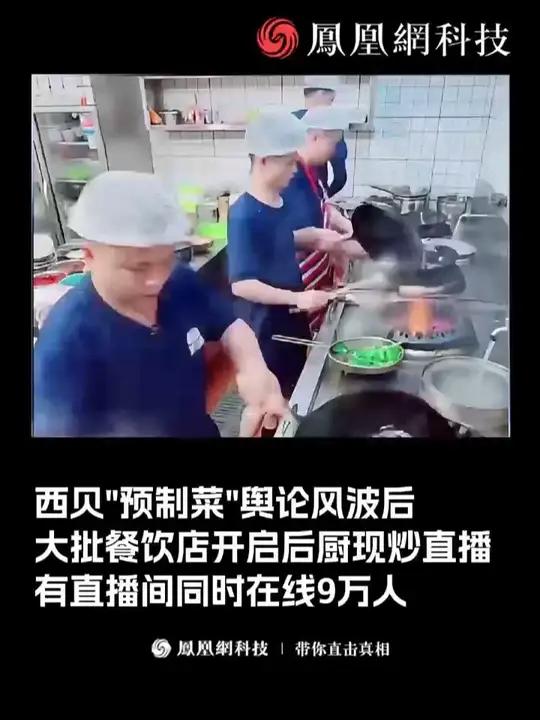 罗永浩掀起后厨直播风潮,商家力证自己不是预制菜