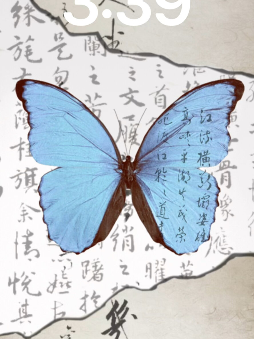 快来用贴纸画出超美古风书法蝴蝶给ta吧