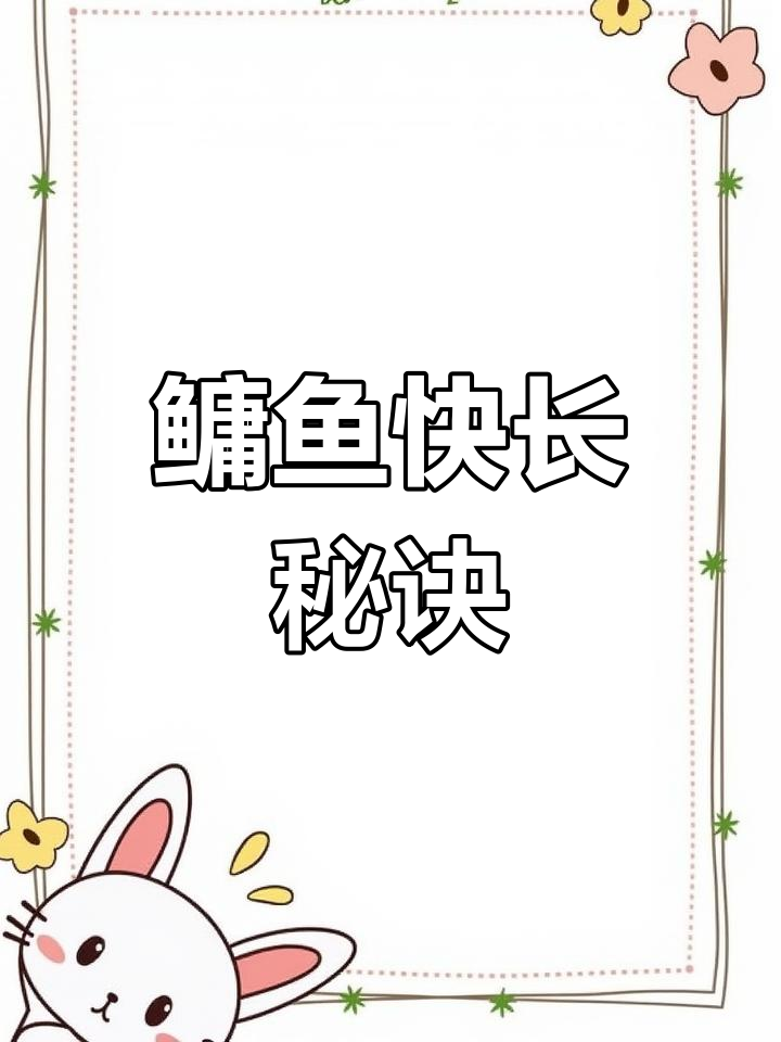 鳙鱼苗快速生长,轻松突破几十斤!