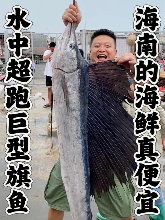 旗鱼性价比太高了。不过世界上游速最快的到底是旗鱼还是剑鱼?家人们谁懂啊?