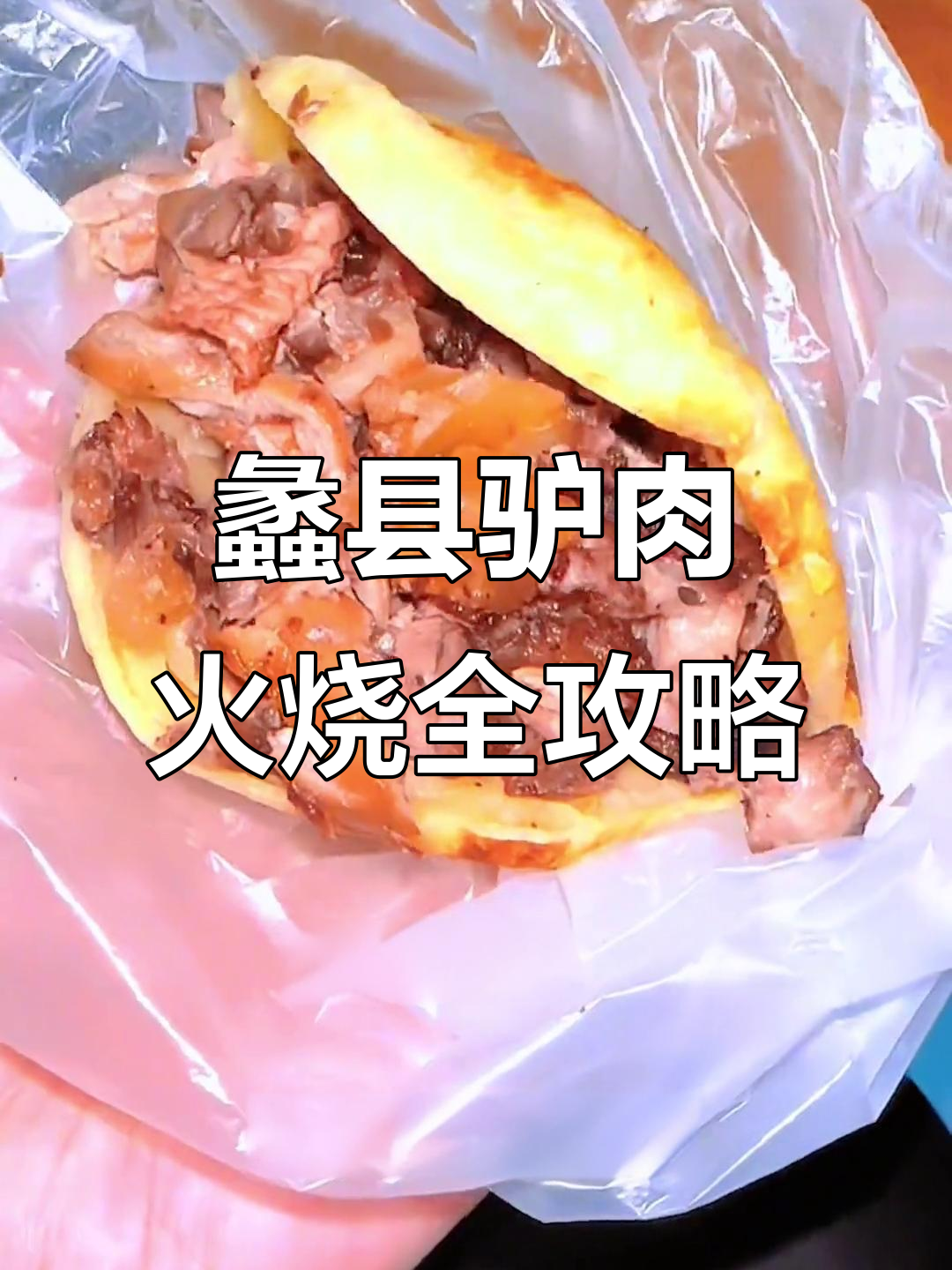 蠡县驴肉火烧大揭秘，各种特色美味等你来尝