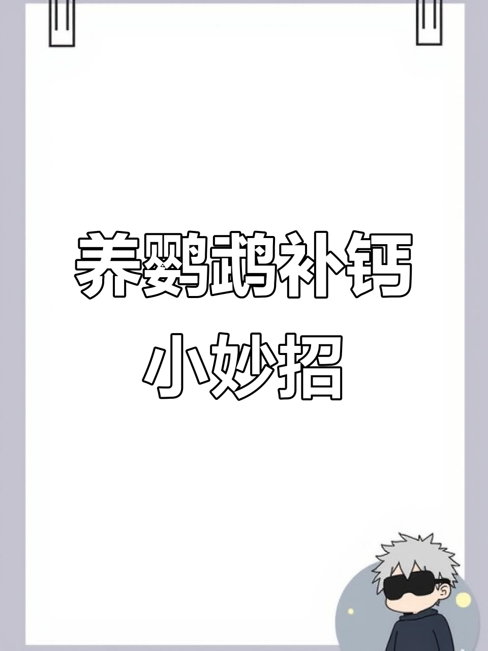 鹦鹉缺钙怎么办?墨鱼骨粉轻松解决