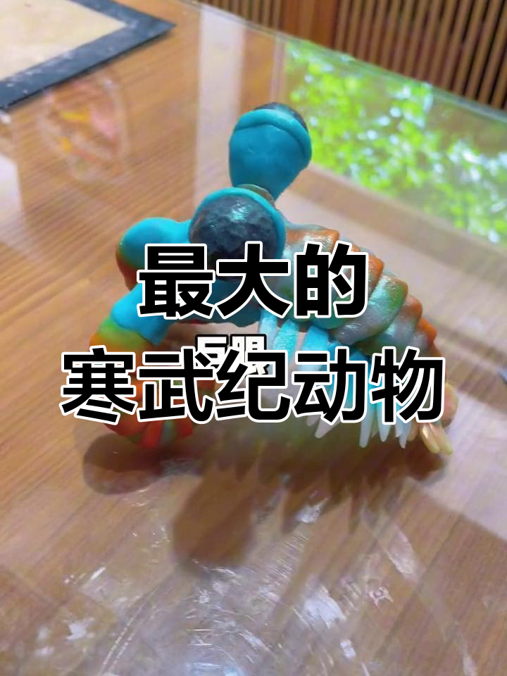 云南澄江奇虾:寒武纪最大生物揭秘