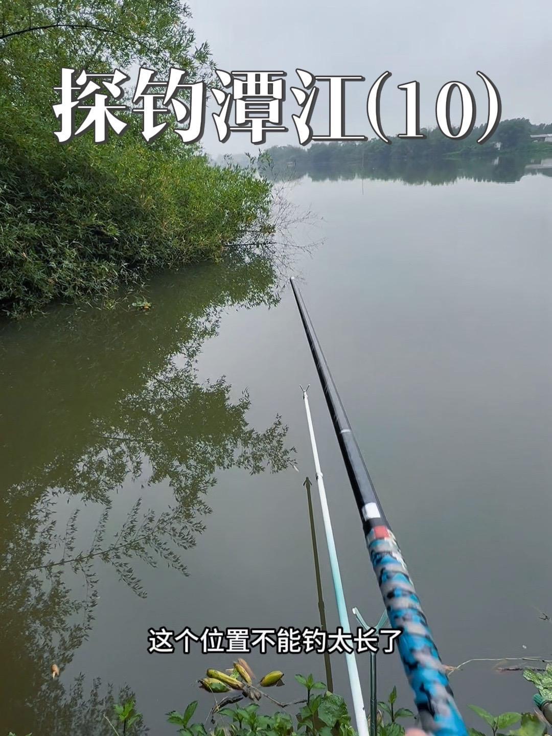 这鱼钓的太爽了,边钓边烤,家都不想回了 原来钓鱼才是抖音运动顶流 老坛甜薯 钓鱼人