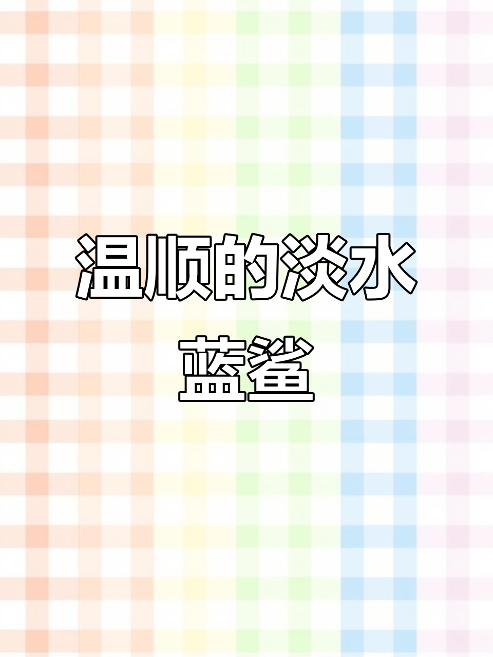 蓝鲨:淡水中的“鲨鱼”观赏者,性格温和不咬人