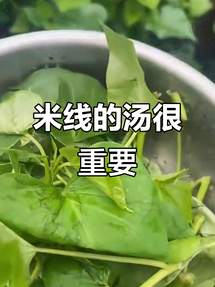 米线汤的秘密:决定它是否有“海克斯科技”