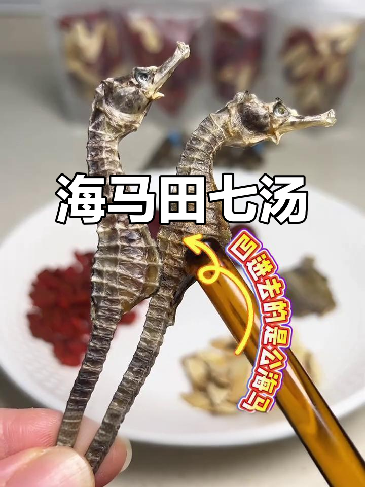 海马田七汤,孩子成长必备!这道汤助力长高