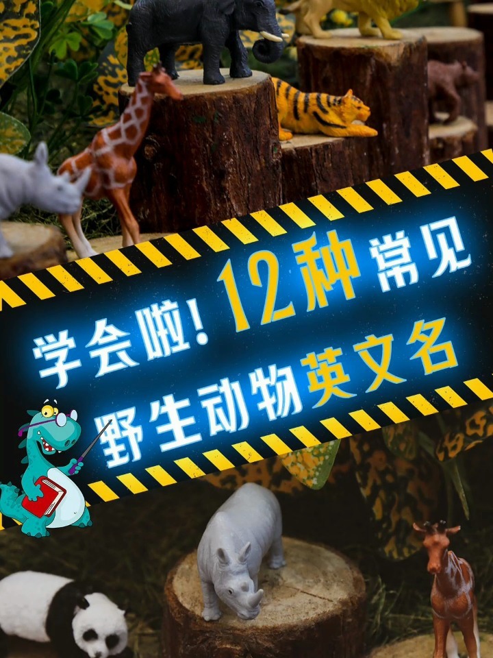 别的小朋友都会啦12种动物英文名GET!