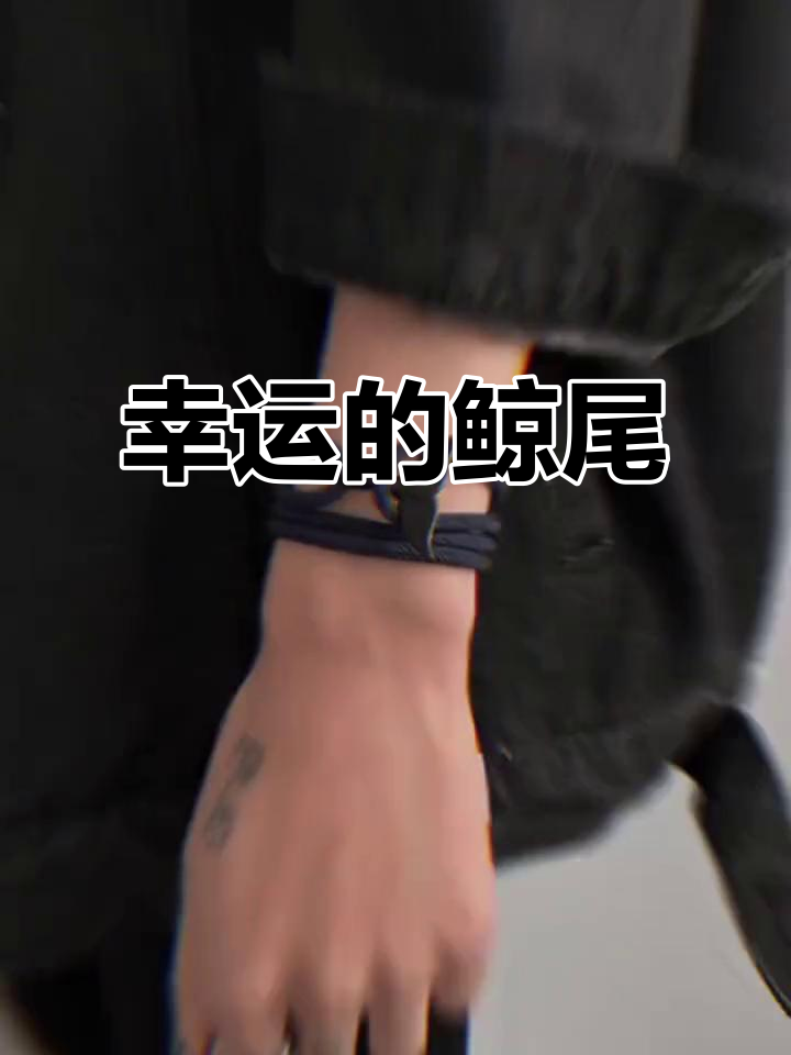 传说鲸鱼尾巴带来好运,见到它就是幸福的象征!