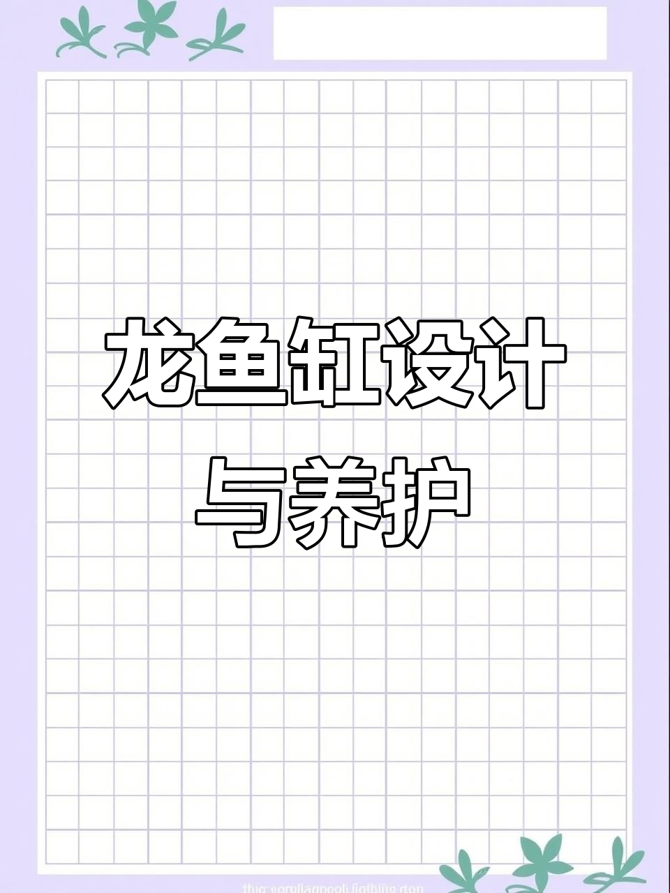 2米3龙鱼缸设计,海水与淡水混养技巧