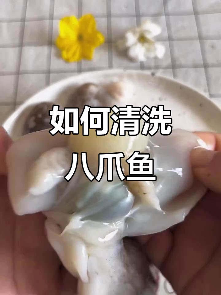 八爪鱼清理全攻略,教你如何去除内脏和粘液