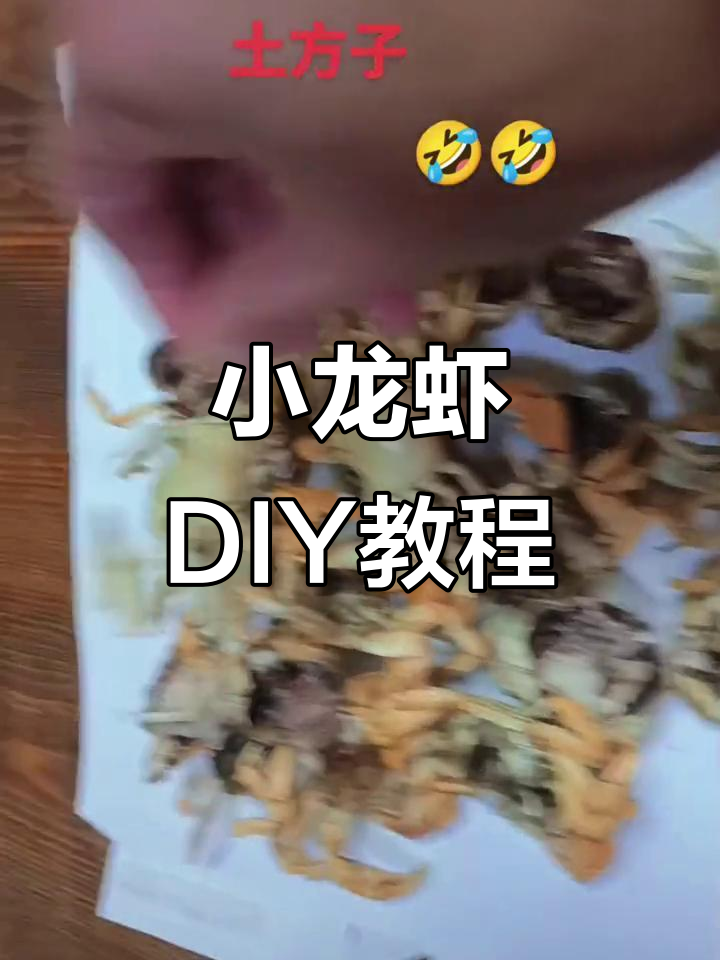 孩子们的创意手工:晒干小龙虾,效果超乎想象!