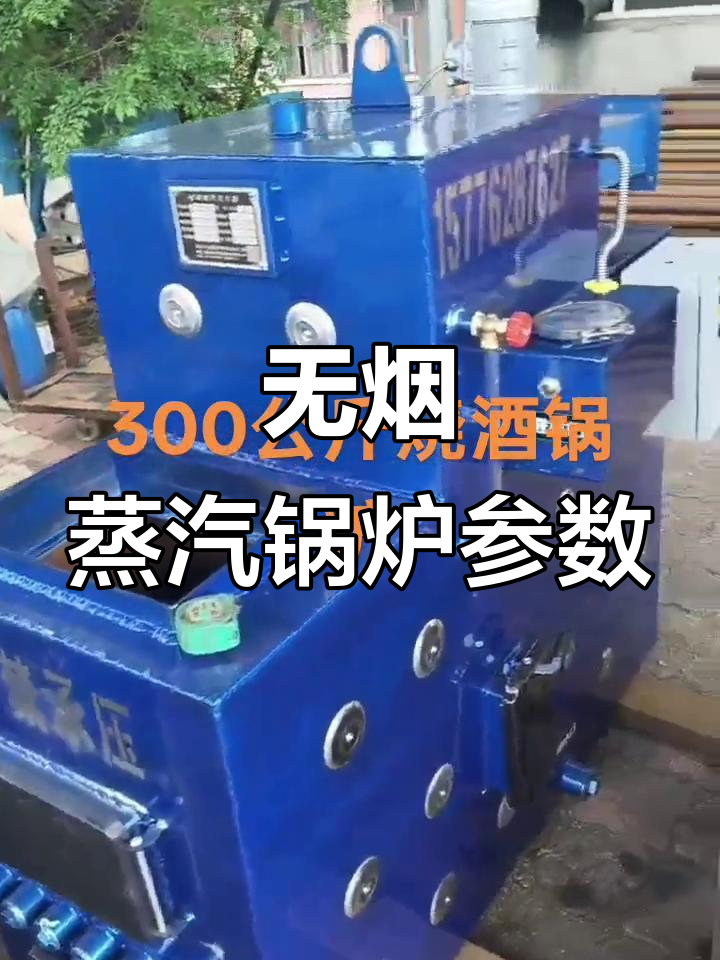 燃煤颗粒木材垃圾多用返烧无烟蒸汽锅炉尺寸与配置详解