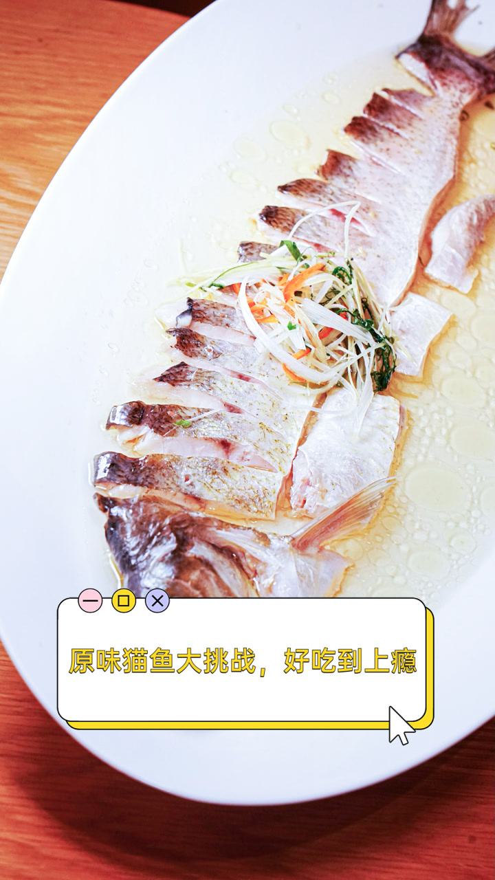 原味猫鱼大挑战,好吃到上瘾