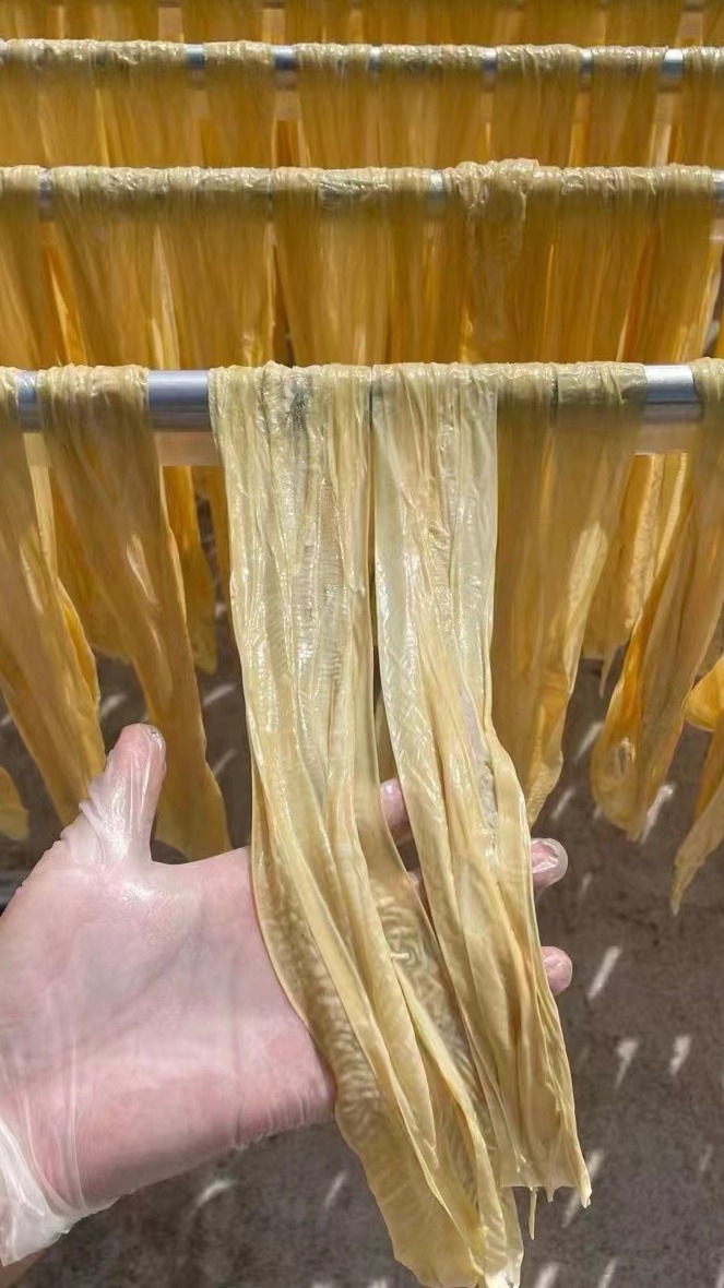 半自动腐竹机生产线 一机多用可以生产油皮腐竹条等多种产品