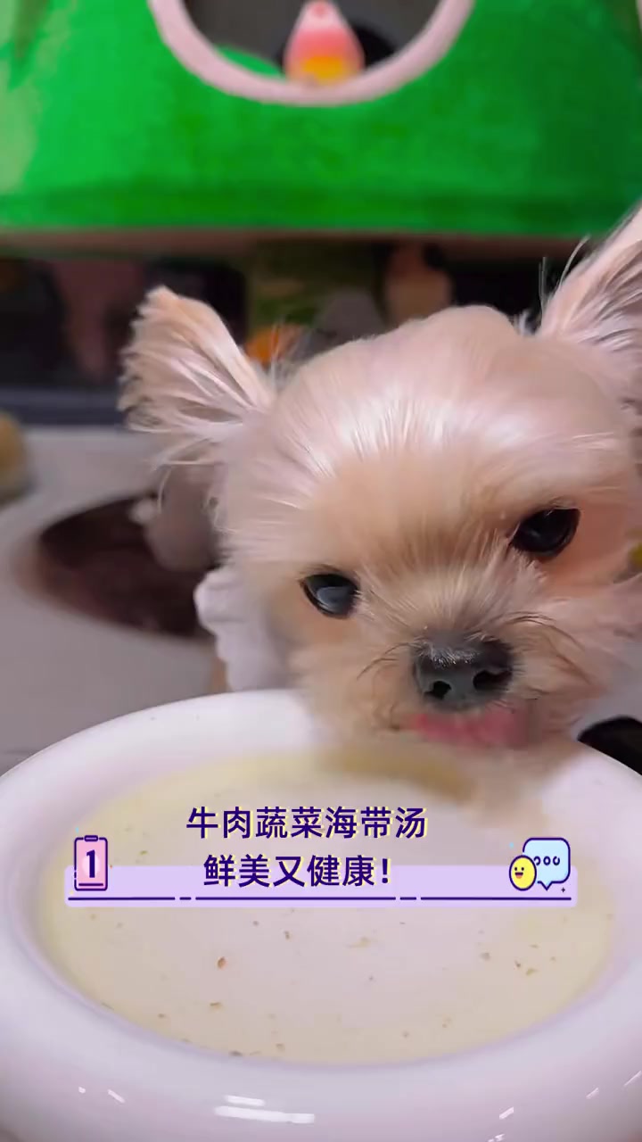 牛肉蔬菜海带汤,鲜美又健康!