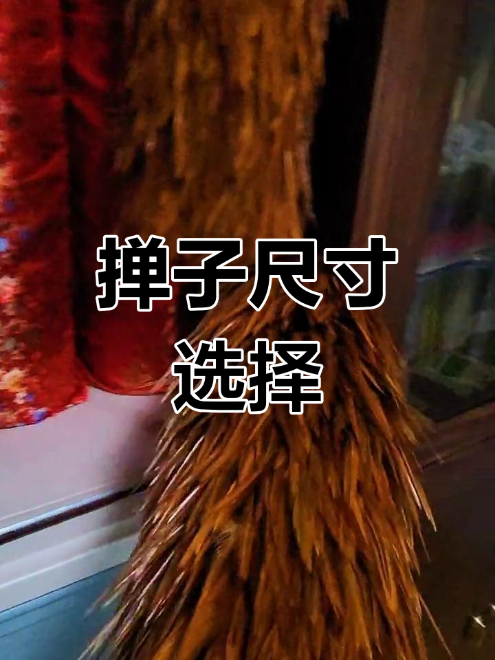 赵氏贡掸提供多种尺寸,鸡毛掸子长短随心选