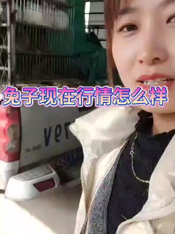 养殖兔子春天利润如何