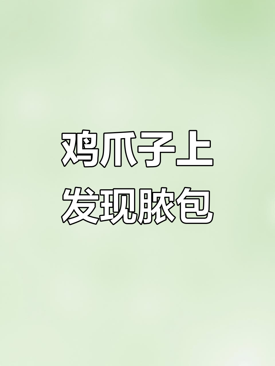 鸡爪子关节长脓包,切开一看全是血样物质