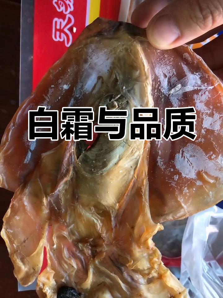 墨鱼干的白霜是甘露醇,优质晒干的标志