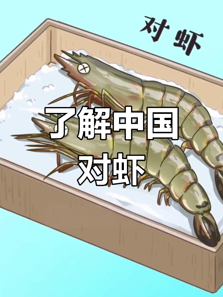 中国对虾的奇妙世界:从渤海湾到餐桌