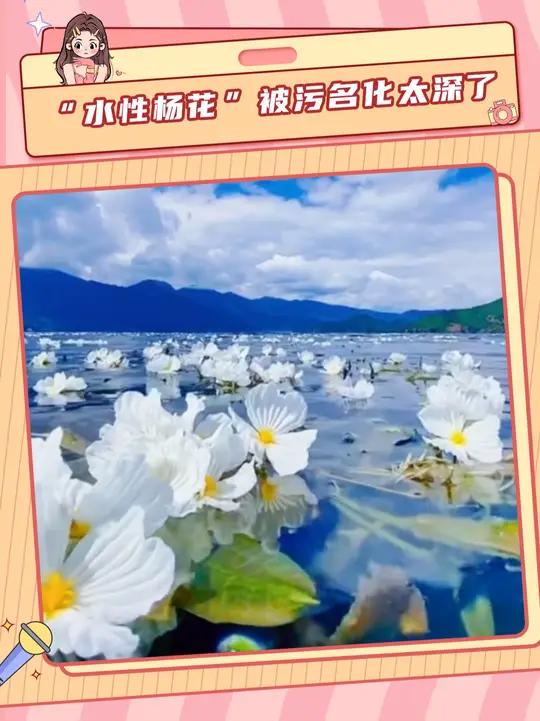 “水性杨花”被污名化太深了