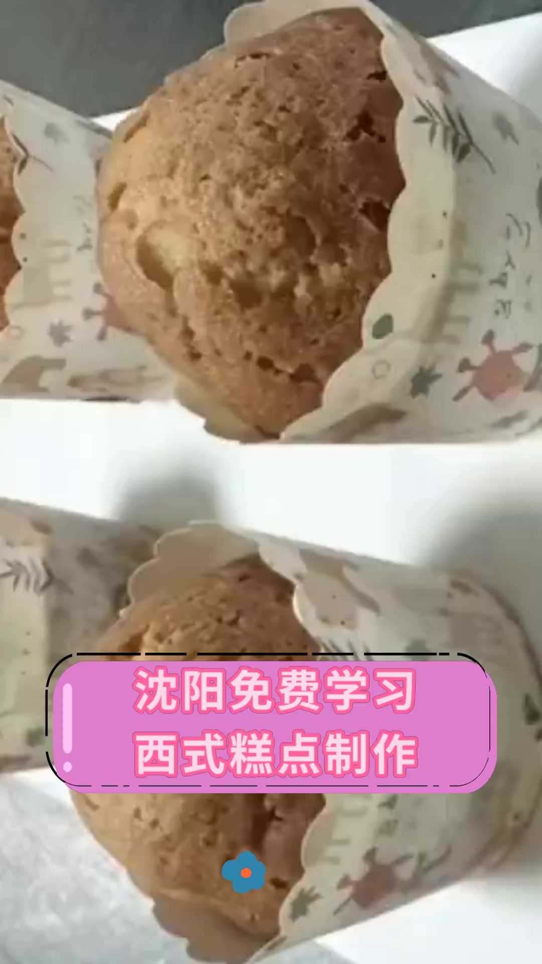 沈阳免费学习西式糕点制作