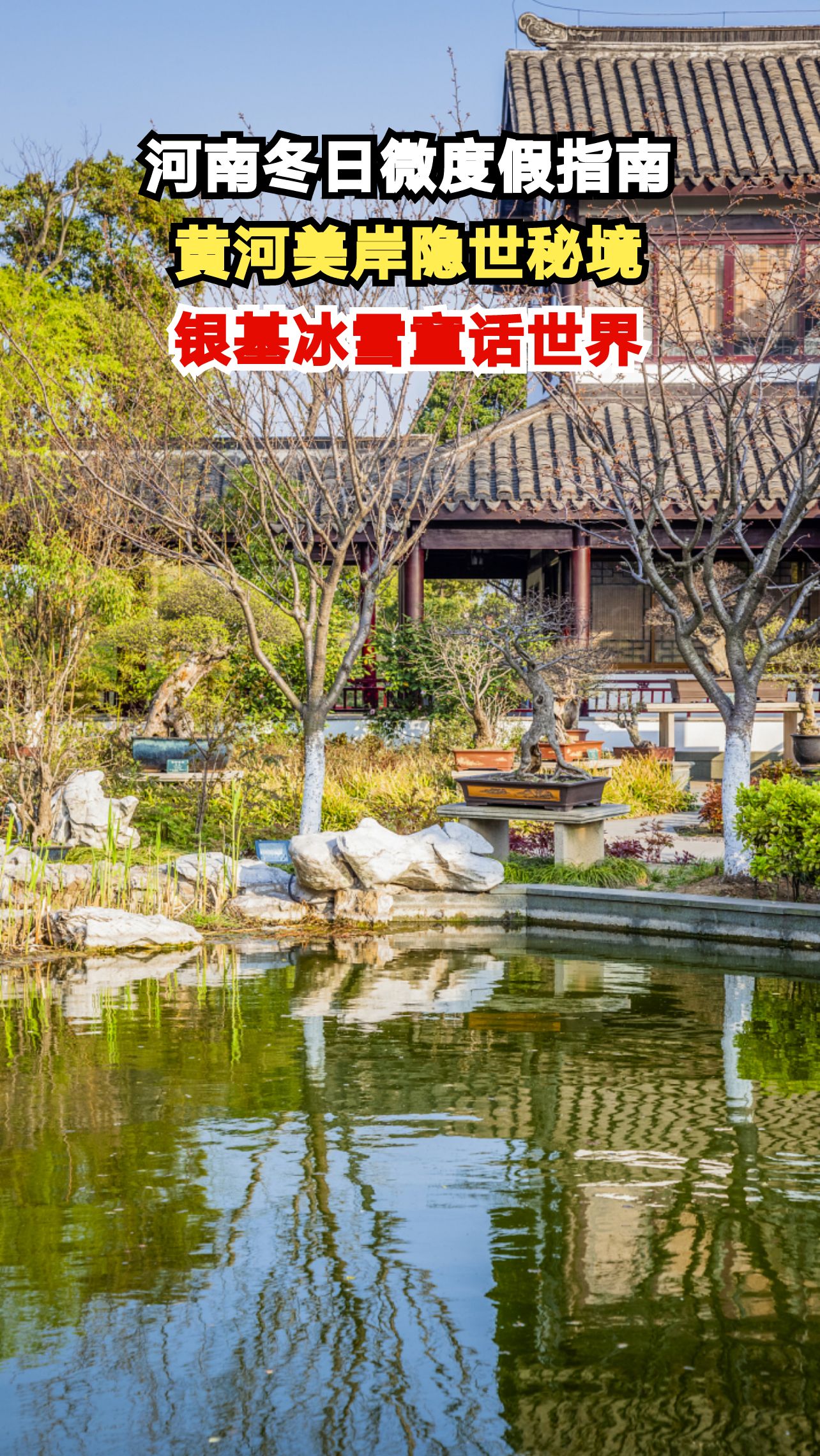 河南私藏5大冬日秘境!黄河畔泡私汤赏雪景,银基与企鹅共舞