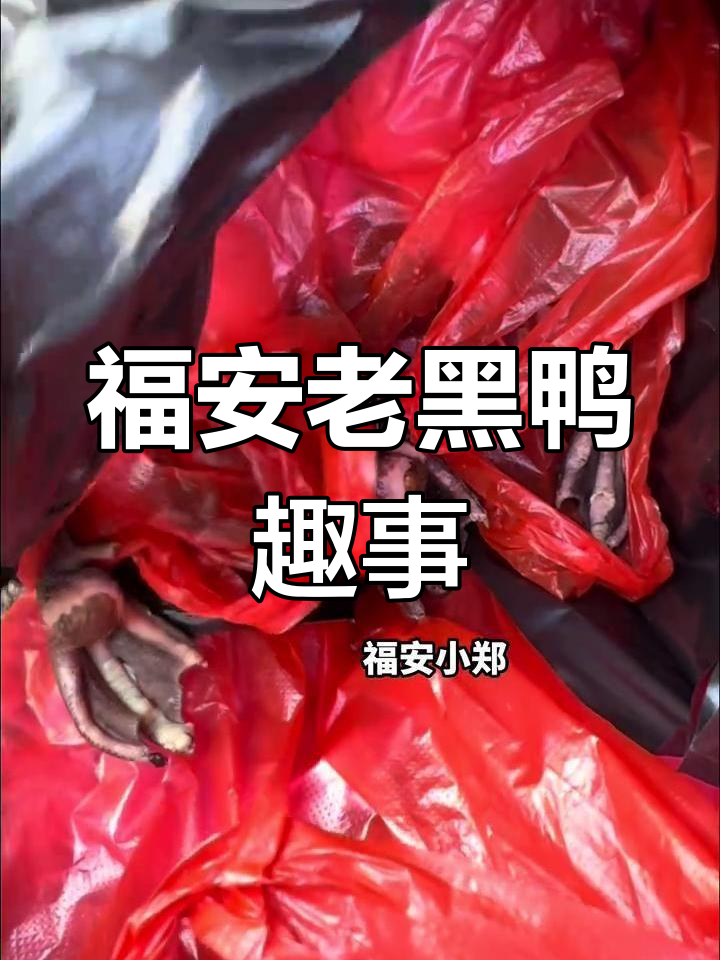 福安老黑鸭的乡村故事,烤架与电话号码的故事