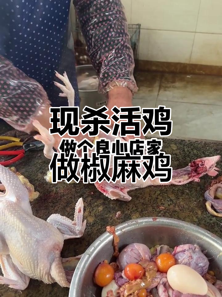 做椒麻鸡,现杀活鸡比冻鸡更美味!