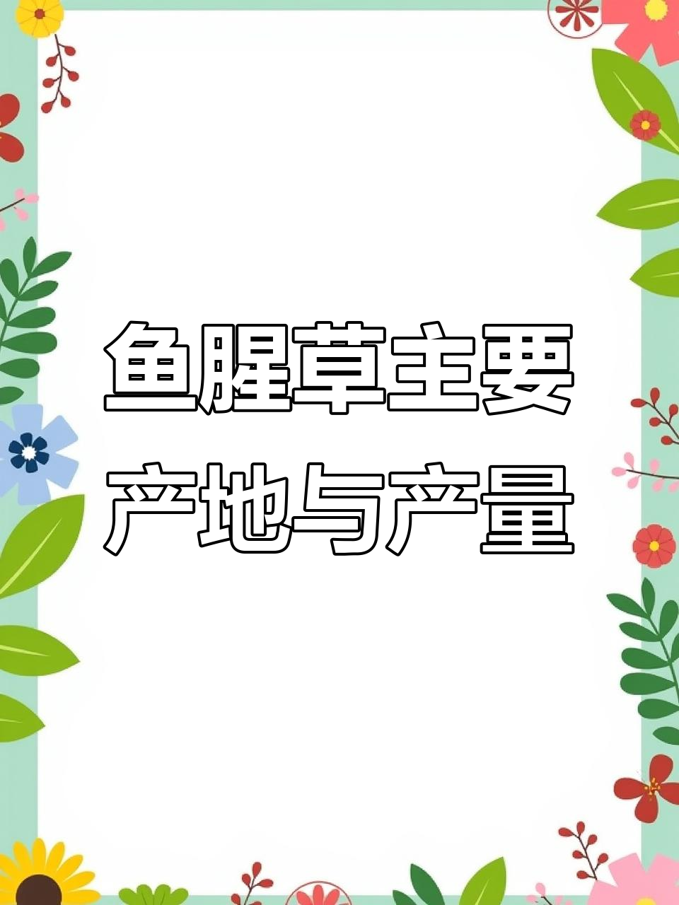 鱼腥草四大主产区及采收时间揭秘,四川、贵州等地的品质优势