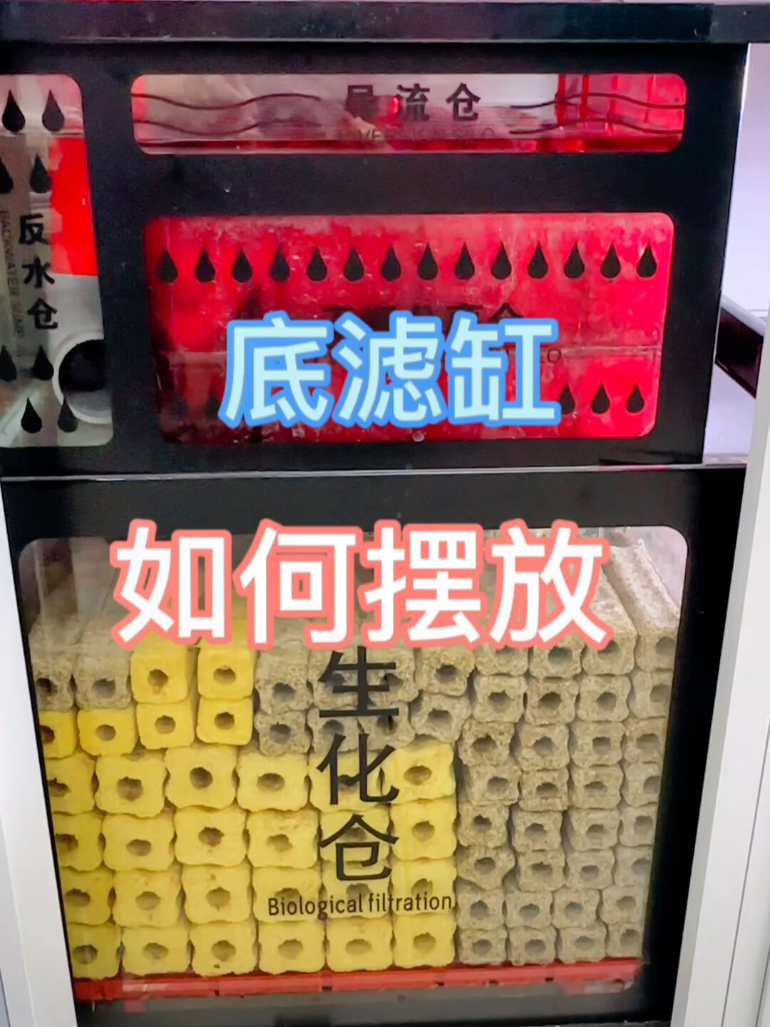 底滤缸滤材摆放顺序你做对了吗?