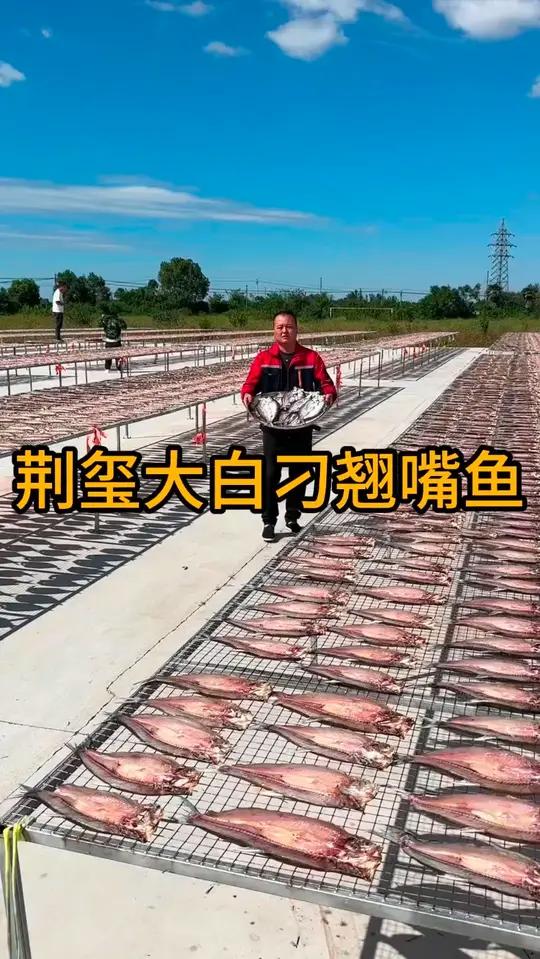 又叫翘嘴鱼,古法腌制,阳光晾晒,自然风干