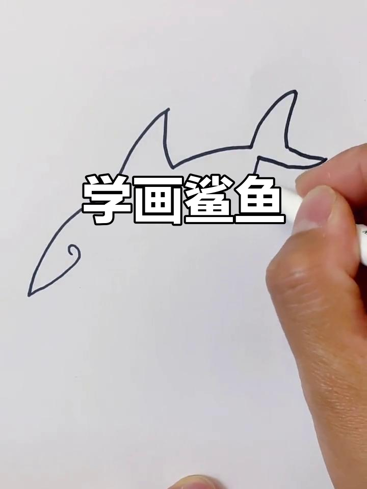 鲨鱼简笔画教程，轻松学会画可爱小动物