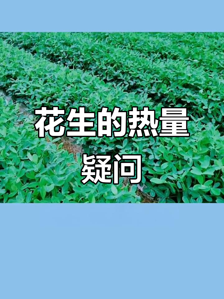 花生热量高,减脂时能否食用?