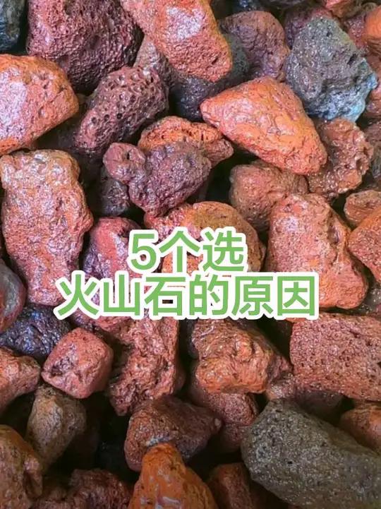 火山石怎么选?有5个原因#火山石 #火山石颗粒 #火山石怎么选 #鱼缸火山石 #火山石鱼缸