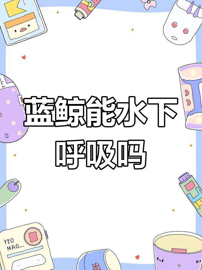 蓝鲸是鱼类吗?它如何在水下生存