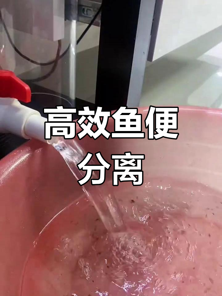鱼缸过滤系统揭秘:高效分离器提升水质