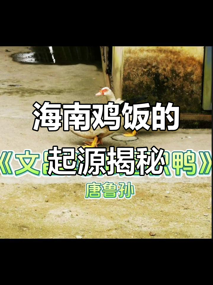 文昌鸡与嘉积鸭的真相：海南鸡饭的历史之争