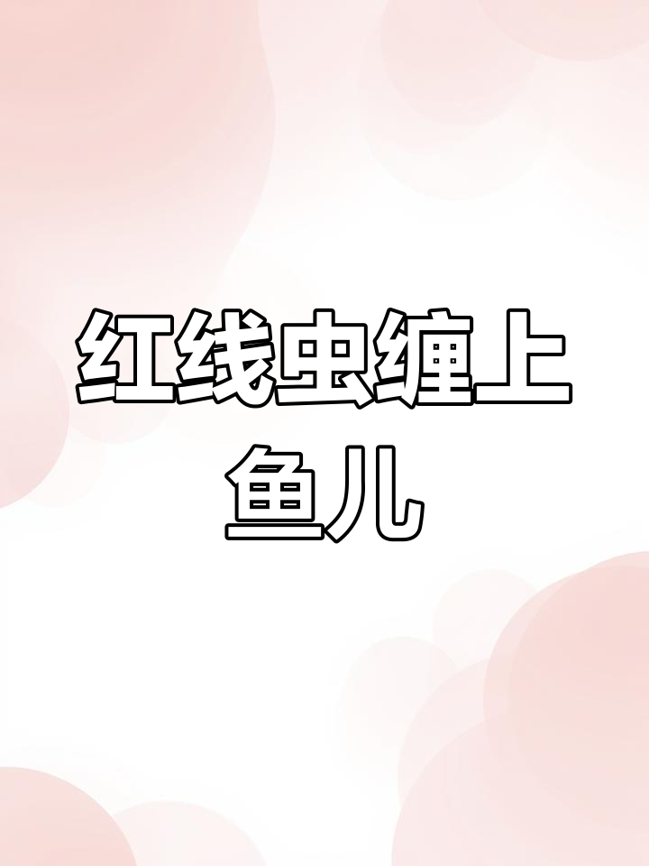 鱼尾巴上的红线虫,竟是寄生虫在作怪!