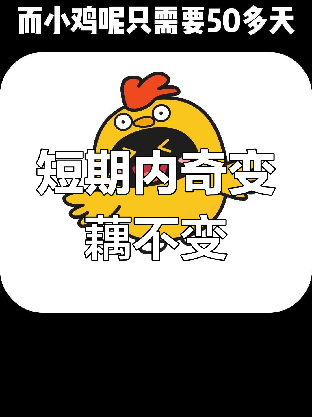 藕和小鸡的生长周期差异,揭示了短期内的变化规律